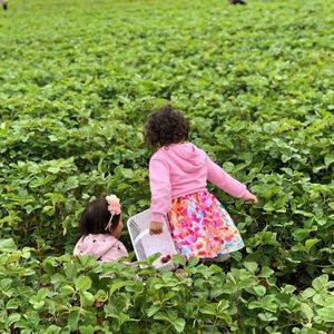 Meet your Posher, Kathy